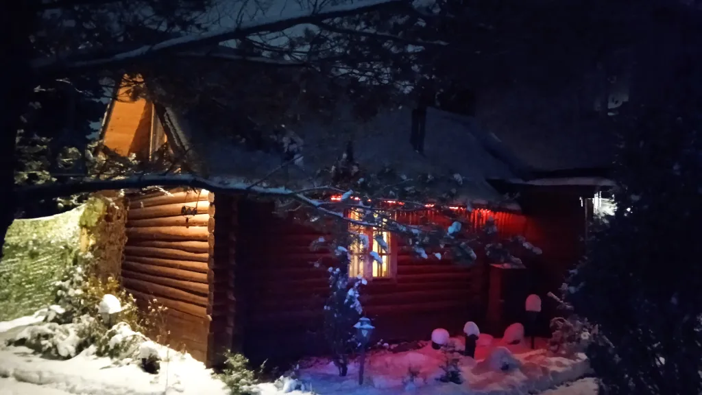 Охотничий дом с медведем на Ладоге