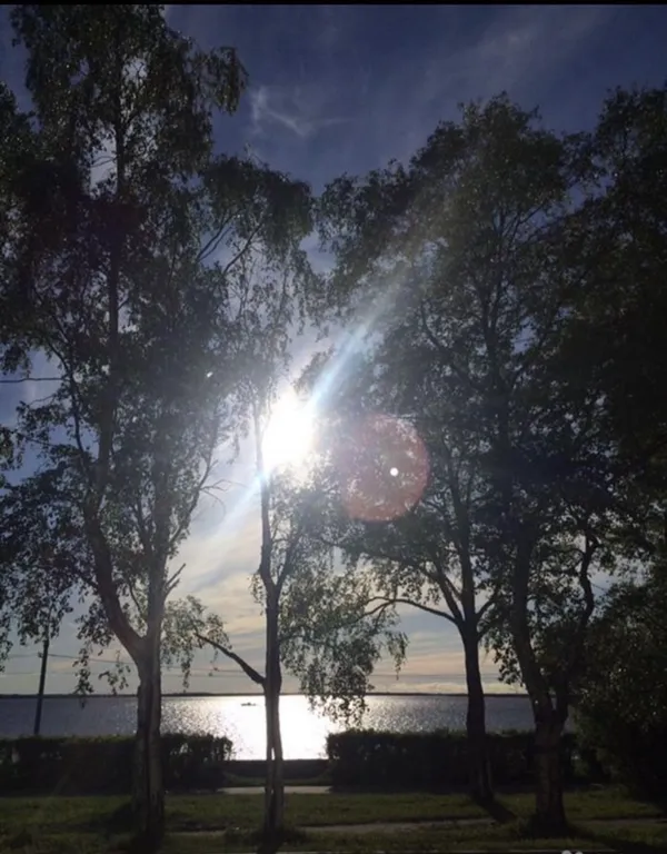 Welcome to the Apartment Loginova