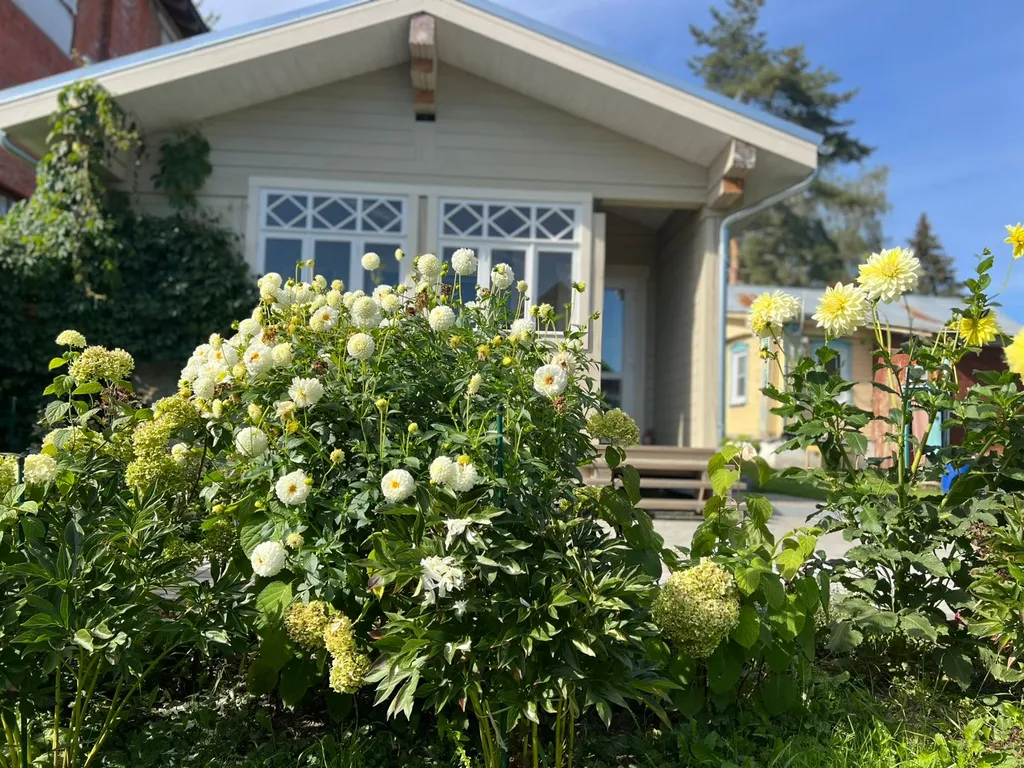 Суздаль Сад