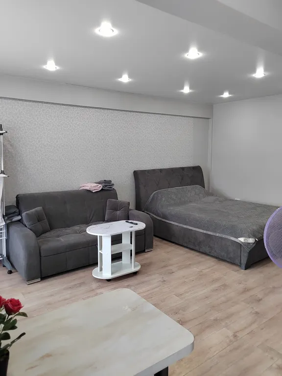 Чистая и уютная студия для отдыха и времяпровождения