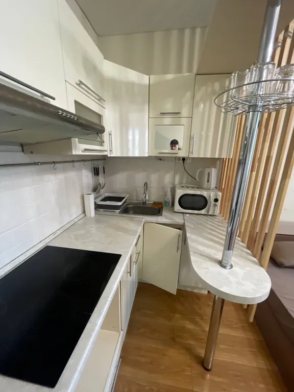 Уютна студия в Спутнике