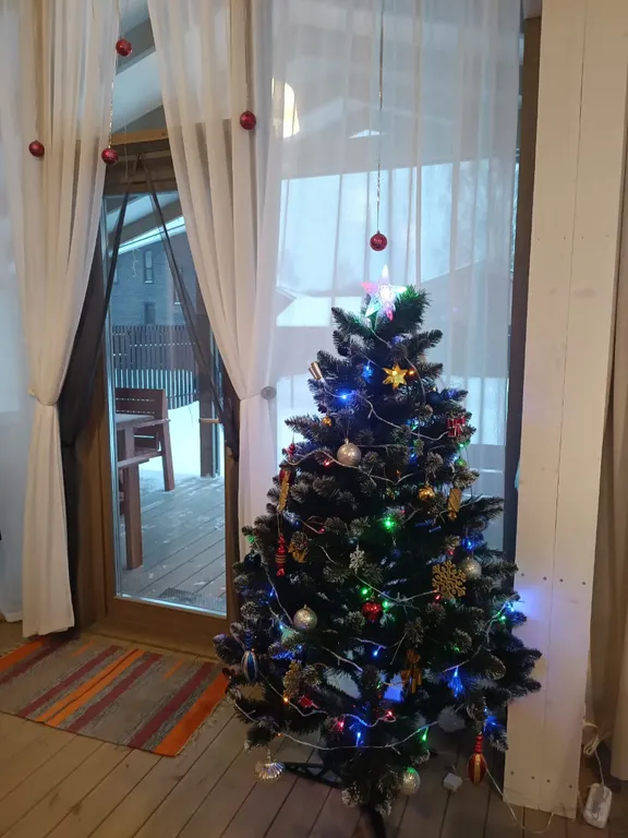 Коттедж Дом с панорамными окнами и печью для семейного отдыха, отдыха с детьми — Семеновское