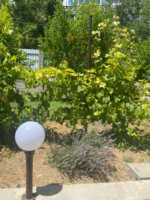 Квартира Квартира Тихая гавань — Севастополь