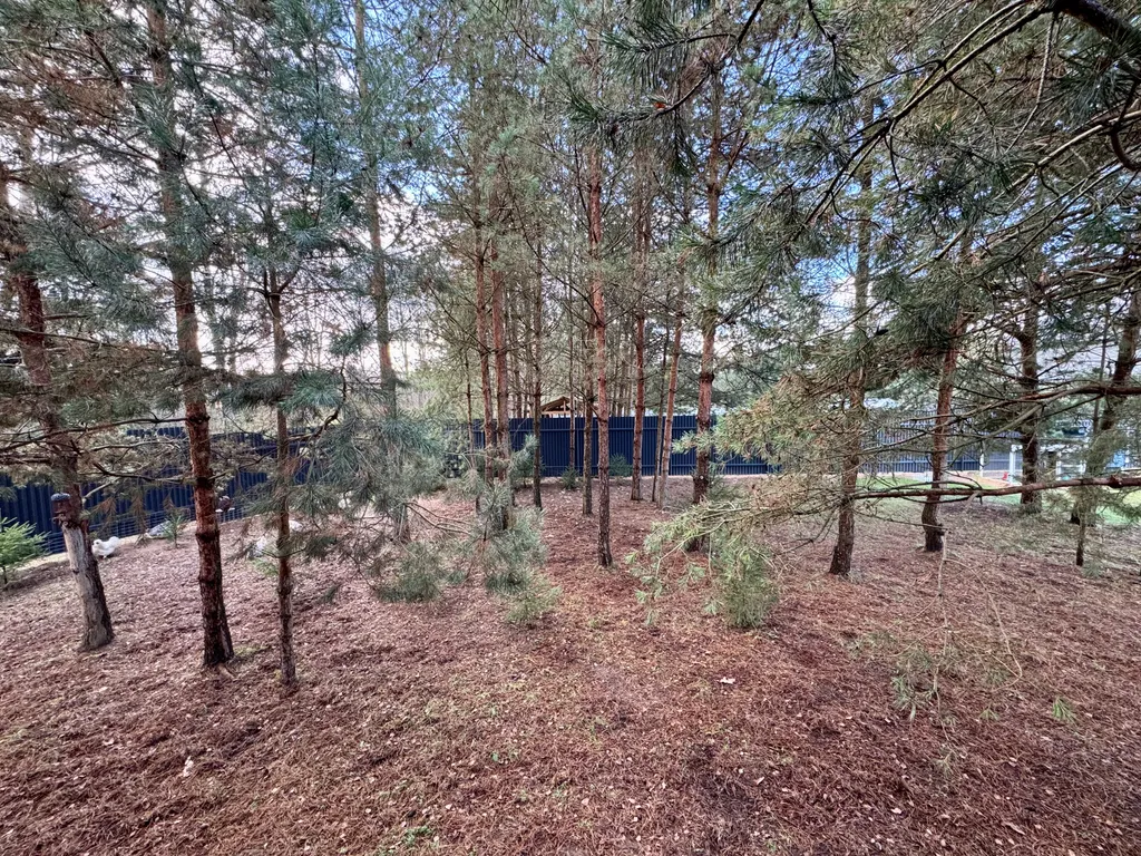 Дом-баня Ёлки