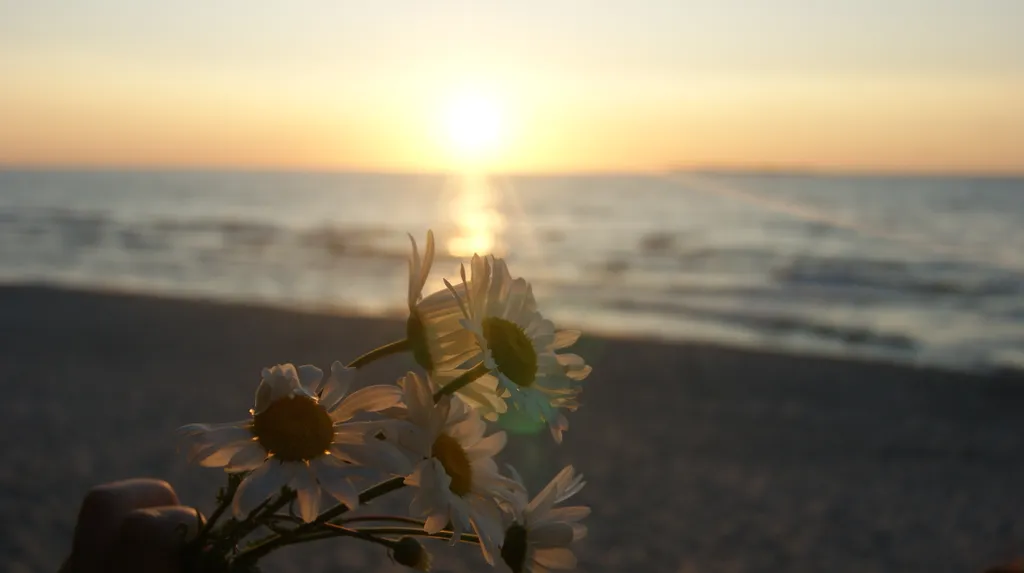 Семейные апартаменты на берегу Балтийского моря