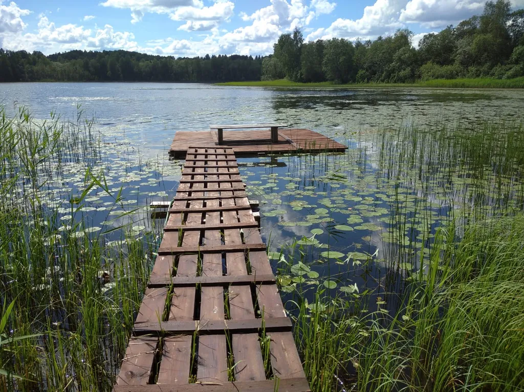 Гостевой дом у Лесного Озера