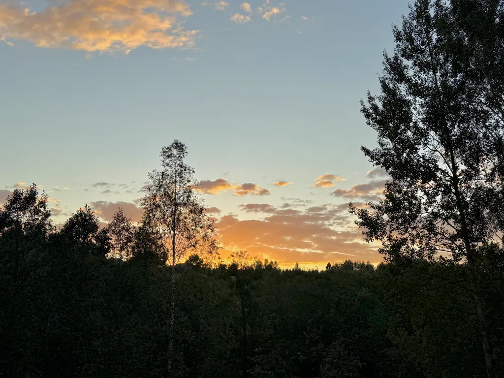 Семейный дом с панорамной сауной и камином