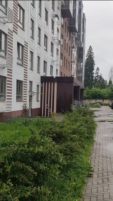 Сказочная квартира в ЖК Елкино