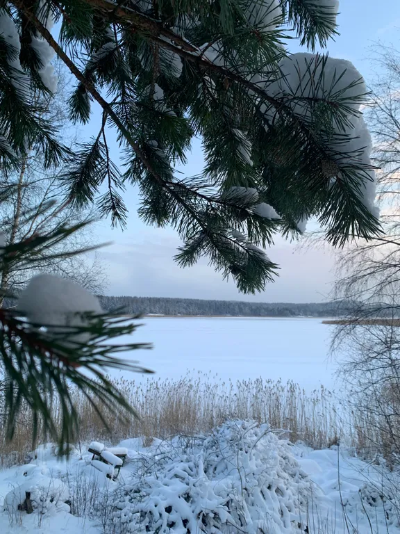 Уютная 2 комнатная квартира с видом на Ладожское озеро