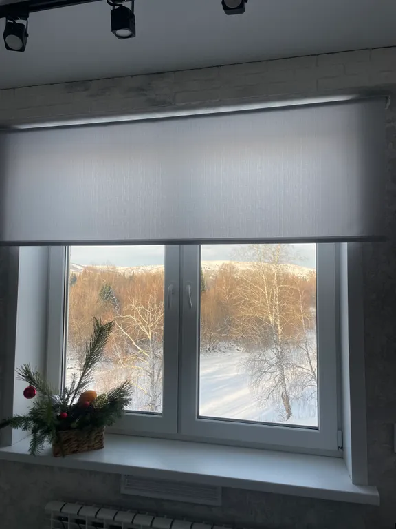 Уютная квартира с видом на горы и реку Катунь