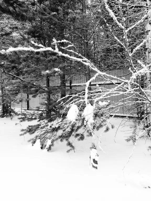 Дача с банькой бассейном и чаном