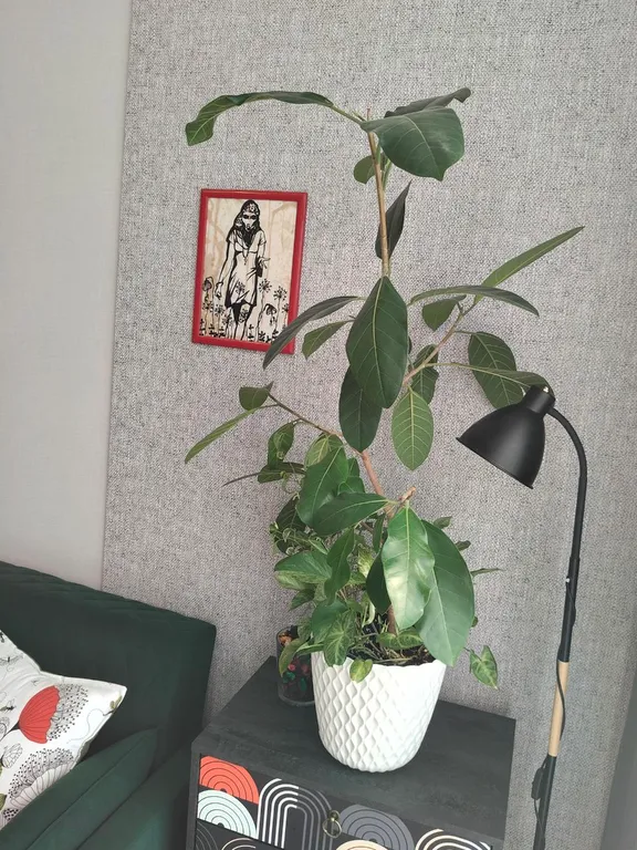 Уютная Арт студия в стиле Лондона 60 годов На границе Нацпарка