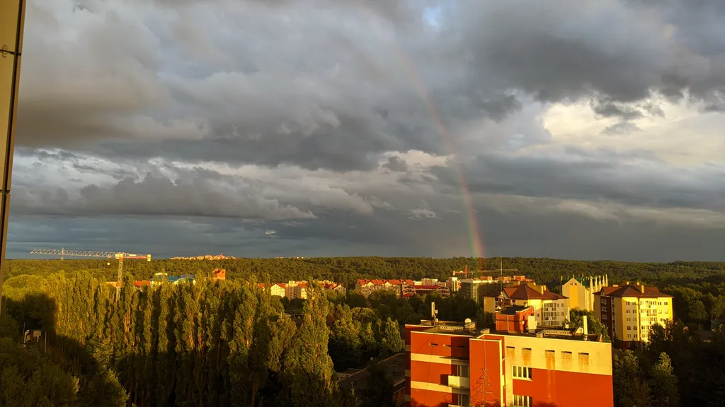 Квартира Апартаменты с видом на лес и боковым видом на море — Светлогорск