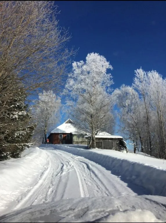 Дом у озера Мстижа