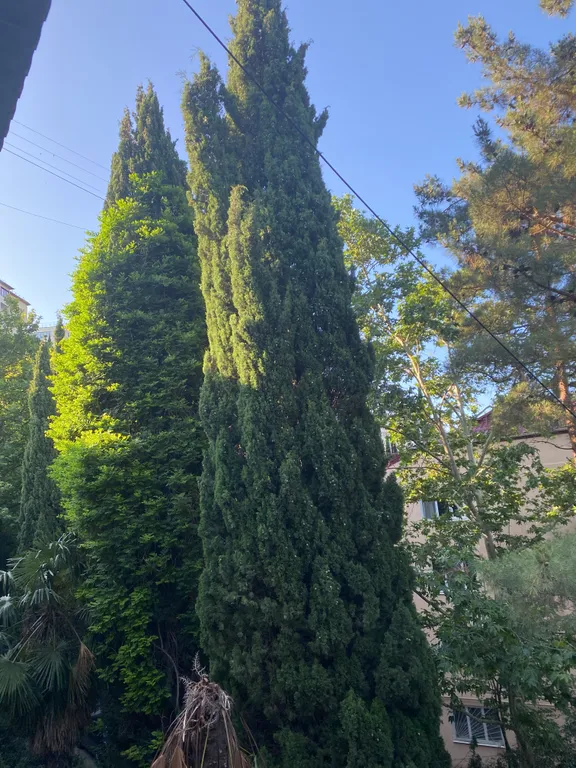 Уютная, тихая квартира в центре поселка