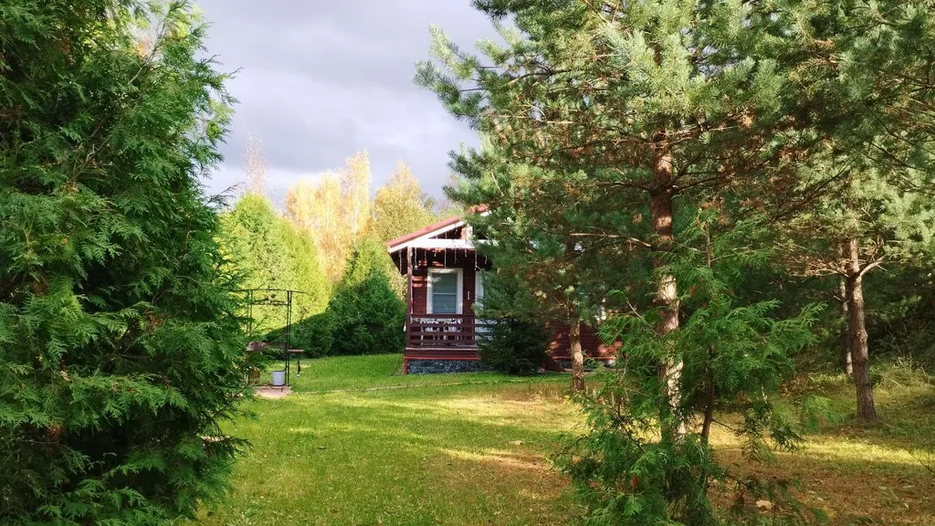 Хуторок на горке