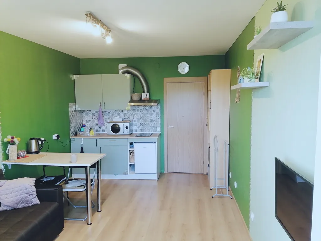 Квартира Квартира Студия рядом с НИИ им. Н. Н. Петрова — Песочный