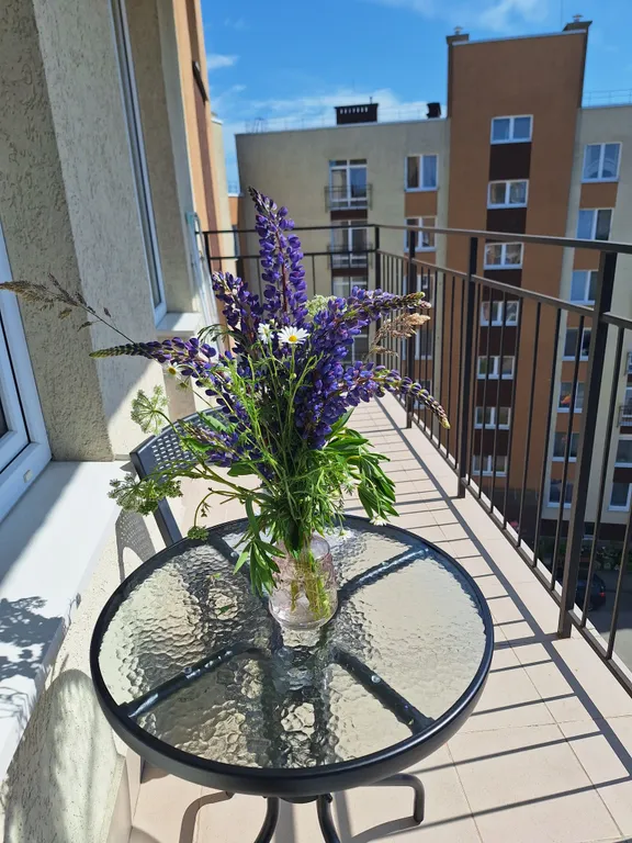 Уютная квартира на побережье