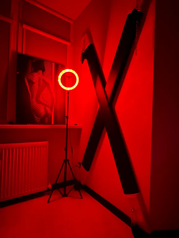 Апартаменты в стиле бдсм