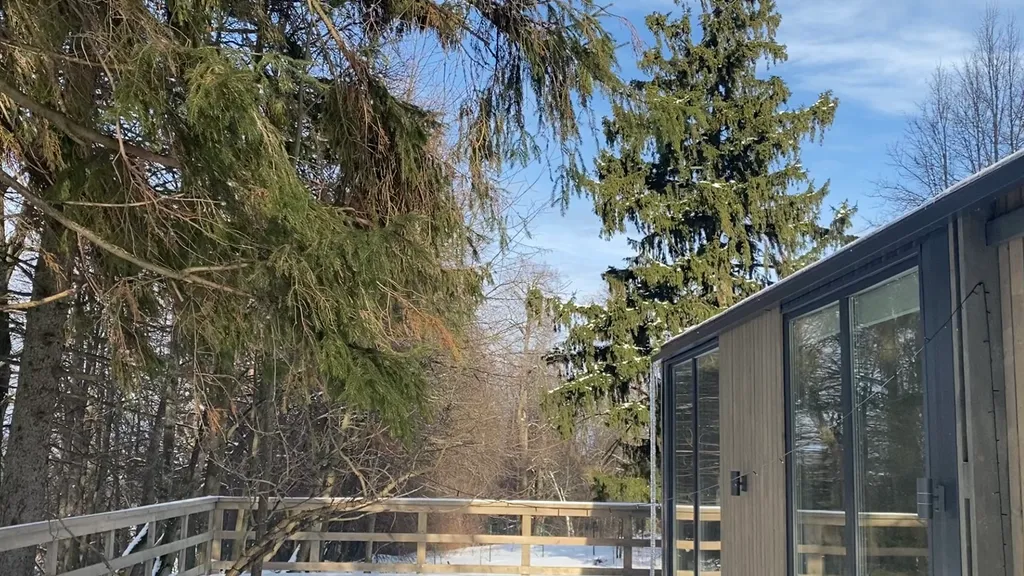 Коттедж Домик Хирви уютный коттедж на отдельном участке с вековыми деревьями — Москва