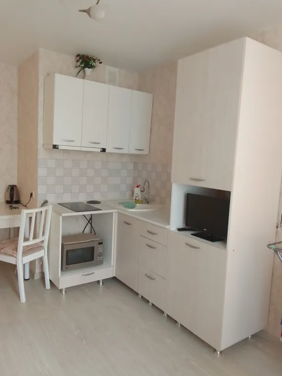 Уютная студия в Новопатрушева