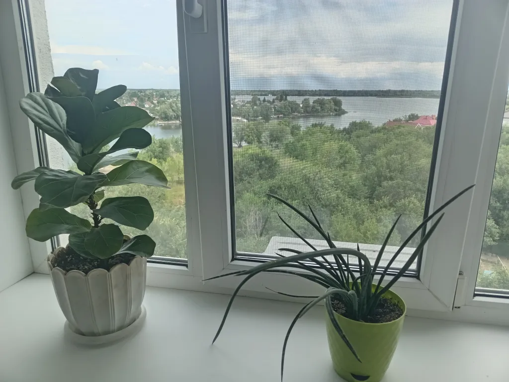 Ваша уютная гавань с видом на величественную Волгу