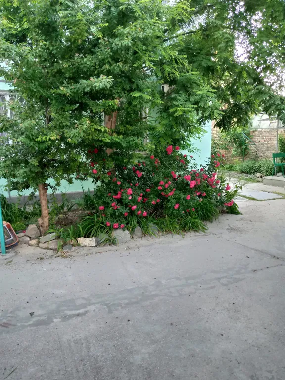 Рады гостям