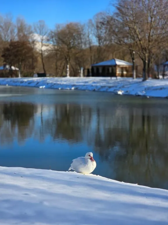 Домик возле озера