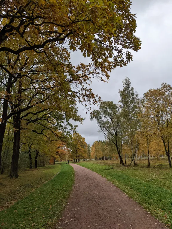 Квартира Просторные апартаменты напротив Александровского парка — Александровская