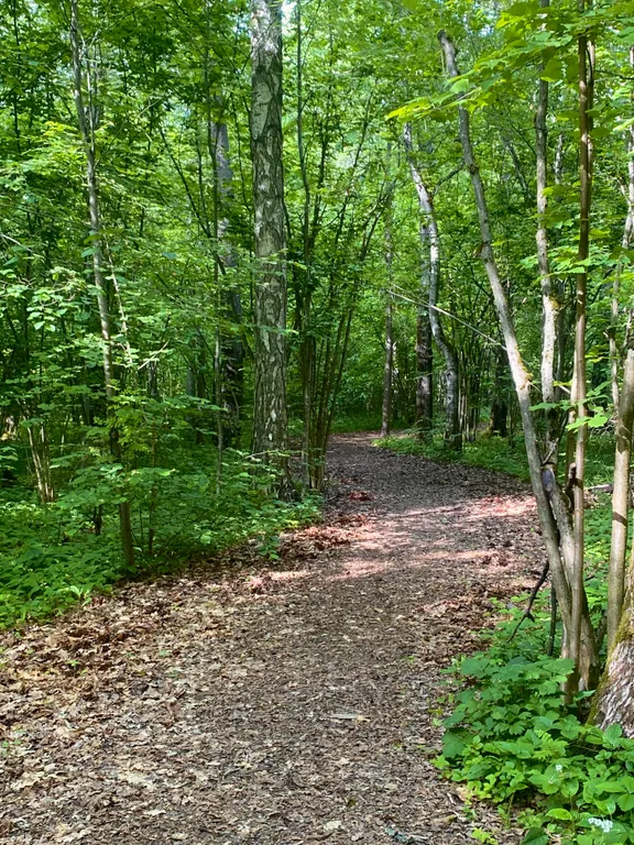Эко-дом с горячей джакузи и профессиональным грилем на террасе