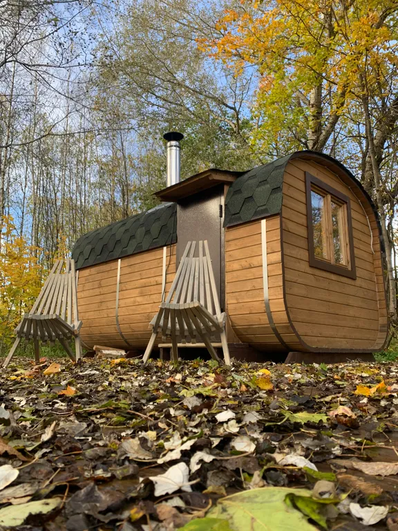 Дом с панорамными окнами в окружении леса