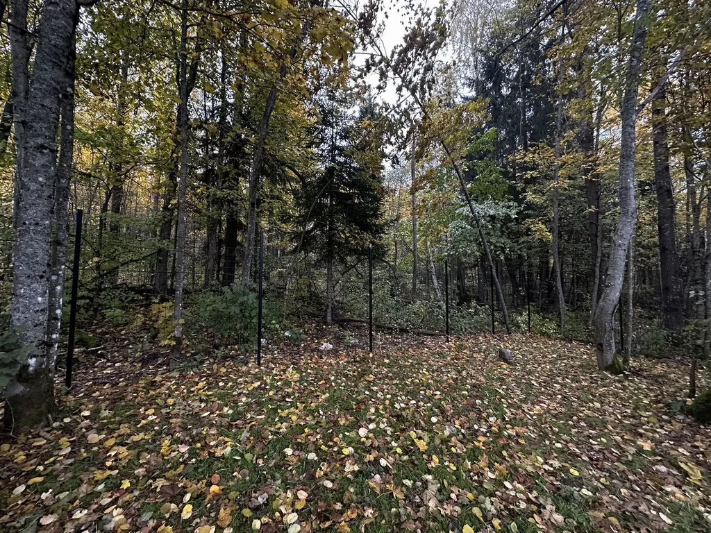 Уютный домик в стиле A-frame рядом с озером