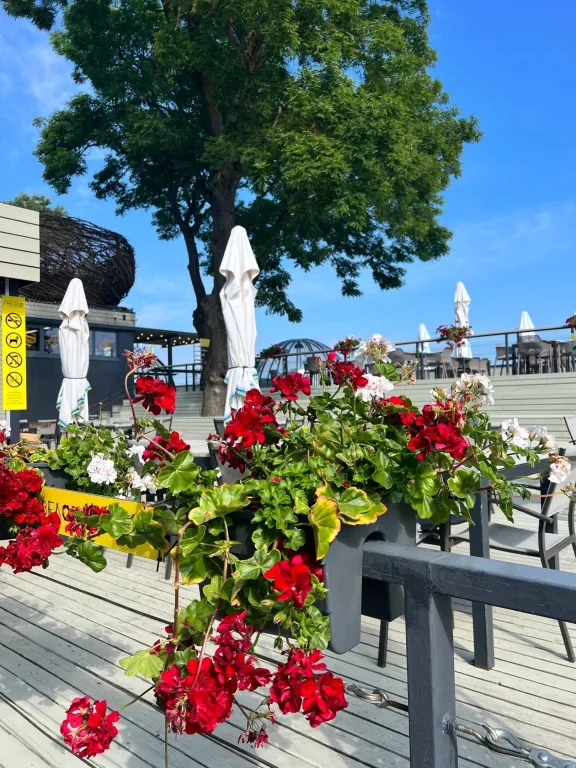 Квартира Квартира Уютная студия в 15 минутах ходьбы от западного пляжа — Зеленоградск