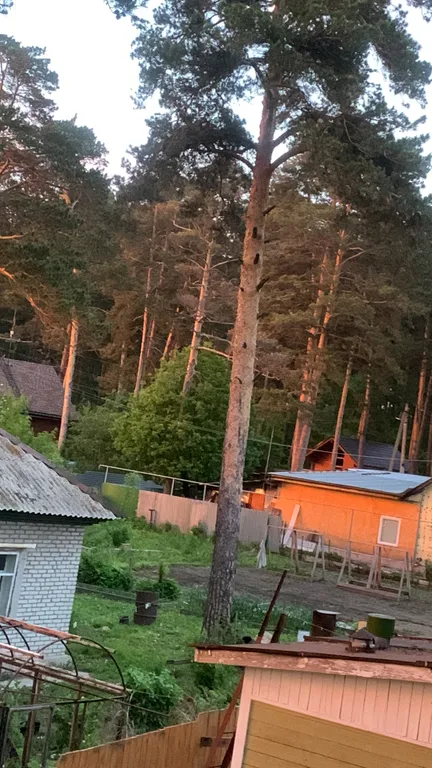 Живописный дом на природе недалеко от города