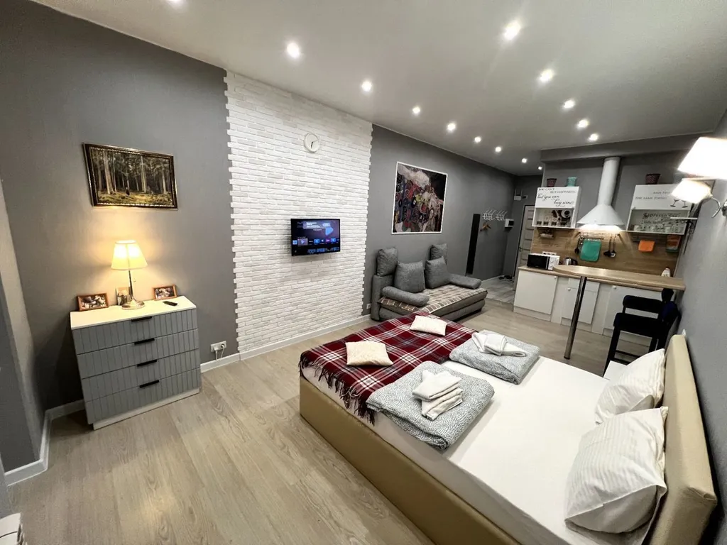 Современная комфортная студия