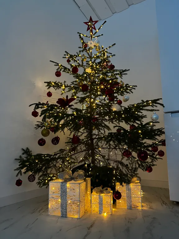 Стильный дом на берегу Ладожского озера с панорамным видом