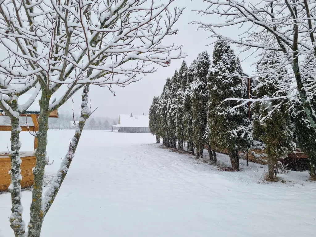 Загородный дом в национальном заповеднике