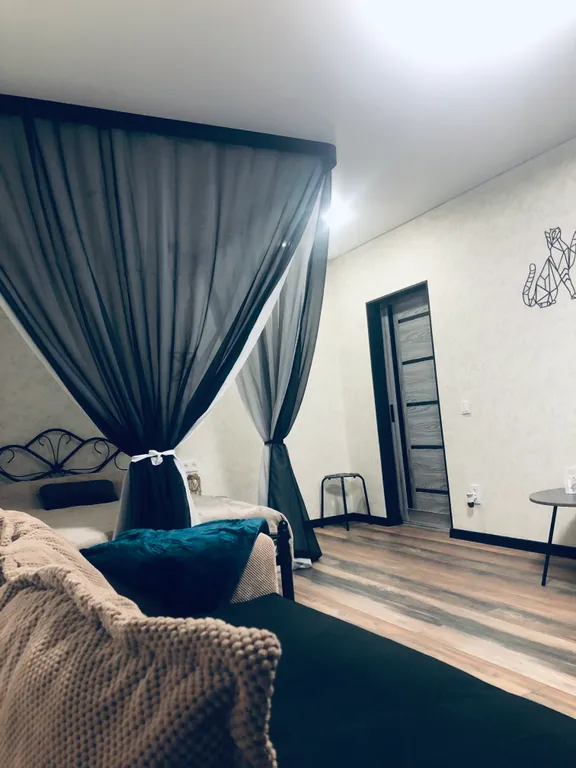 Отличная квартира черный кот