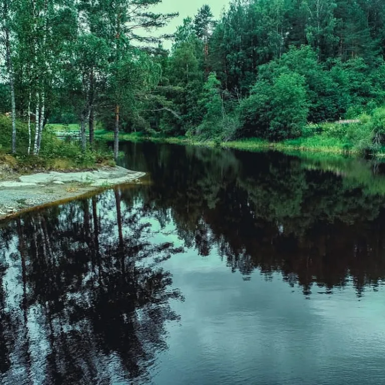 Хутор Медовое на Ладожском озере