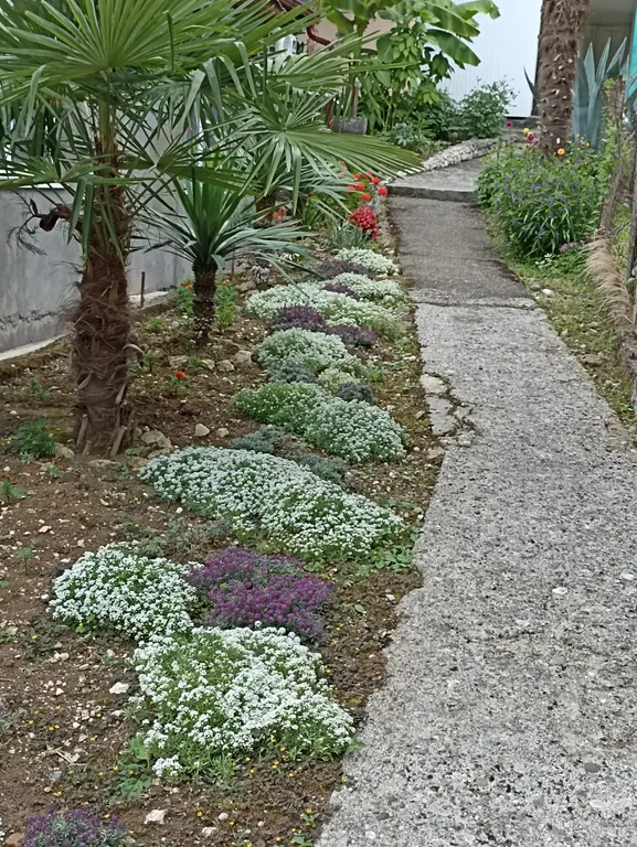 Квартира Квартира Гостевой дом в центре города — Гагра