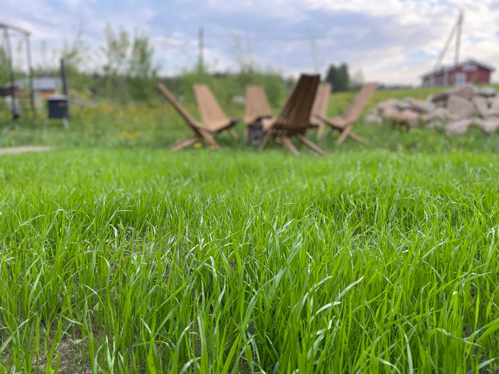 Дом Лесная гавань