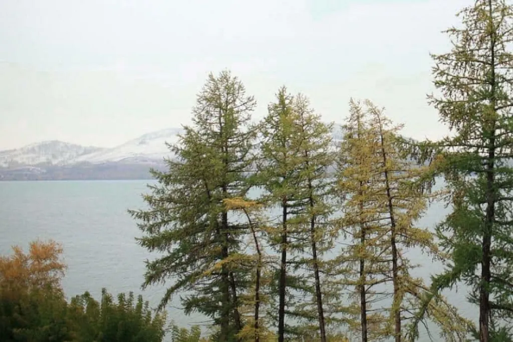 Уютная квартира с видом на озеро Банное и Уральские горы