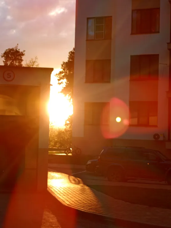 Апартаменты в сосновом лесу