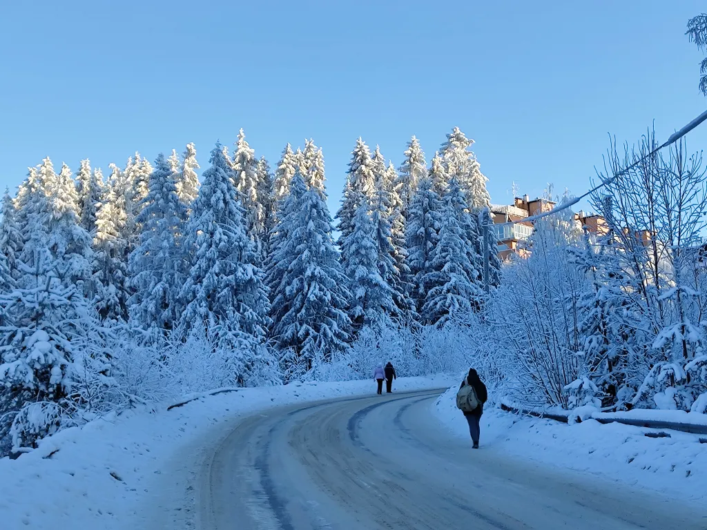 Уютная комната-студия у церкви на холме