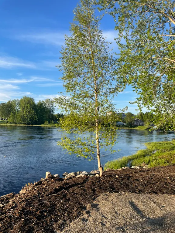 Отдых в тишине у реки