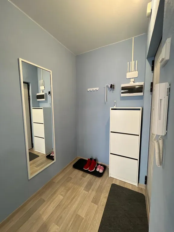 Уютная однокомнатная квартира