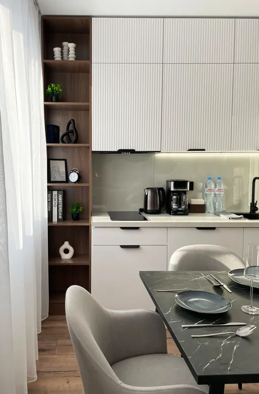 Апартаменты с видом на Оперный и новым ремонтом