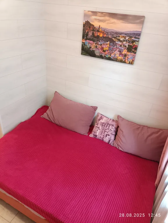 Квартира Квартира Студия рядом с метро Удельная и центром Алмазова — Санкт-Петербург