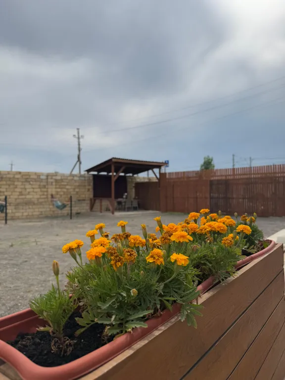 Четырёхместный номер Стандарт