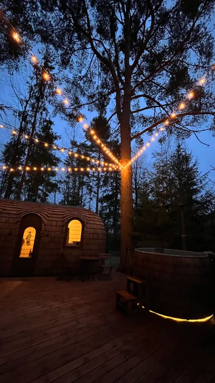 Коттедж Уникальное мecто для вашего отдыха — аренда посуточно в Псков